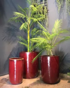 Macetero Conico Rojo S