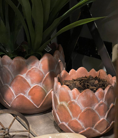 Maceta Terracota x 2