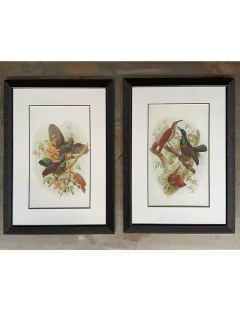 Set x 2 Cuadros pajaro marco negro