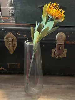 Bazuca transparente 30cm