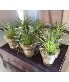 planta del aire