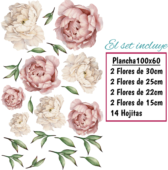 Flores Peonias - Comprar en Buenas Impresiones