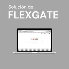 Flexgate Revisión