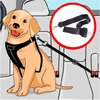 Cinto De Segurança Do Veículo Coleira Ajustável De Segurança Para Cachorro