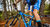 Carrusel Bikeweb