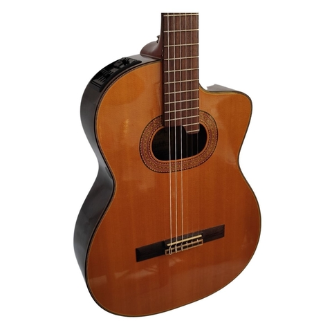 takamine e30 nylon