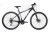MOUNTAIN BUG 27.2