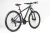 MOUNTAIN BUG 21.2 en internet
