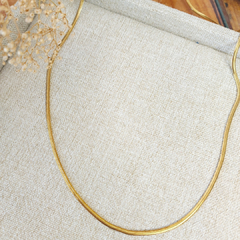 Collar snake delgada