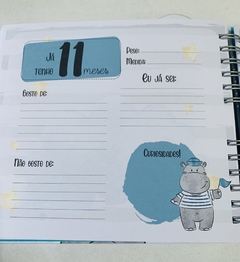 Livro do Bebê - Hipopótamo Menino na internet