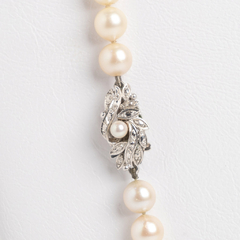 Natural cultured pearl necklace with gold clasp - buy online