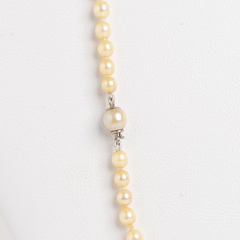 Natural pearl neckless - buy online