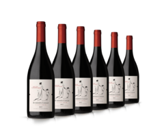 Humberto Canale Old Vineyard Pinot Noir 6x750ml - comprar online