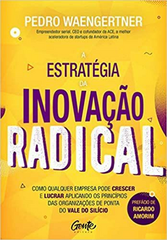 A estratégia da inovação radical: Como qualquer empresa pode crescer e lucrar aplicando os princípios das organizações de ponta do Vale do Silício - (Cód:1358 -M)