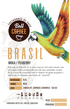 Brasil Moka / Caracolillo / Peaberry - bell-coffee