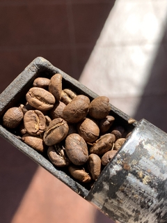 Colombia Guanes Genuino - comprar online