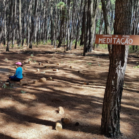 Brasília Na Trilha : PARQUE NACIONAL DE BRASÍLIA - PNB - PARQUE DA