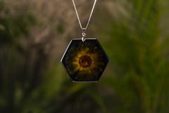 Collar caléndula hexágono