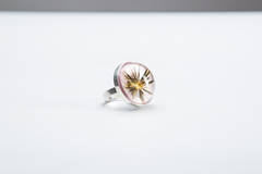 Anillo Cenchrus echinatus - Cadillo.