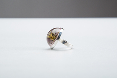 Anillo Cenchrus echinatus - Cadillo. - comprar online