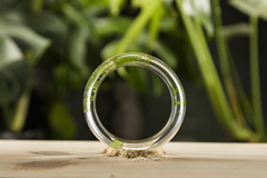 Brazalete redondo con helecho - comprar online