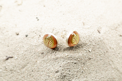 Topitos Fittonia fusion - comprar online