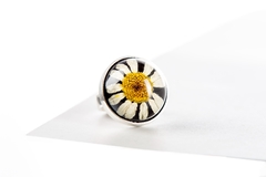 Anillo redondo flor de manzanilla
