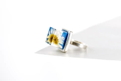 Anillo manzanilla