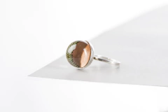 Anillo botánica