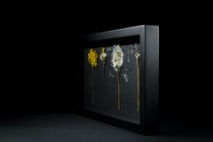 Cuadro metamorfosis diente de león - comprar online
