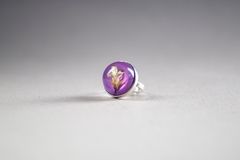 Anillo pitósporo I - comprar online