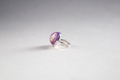 Anillo pitósporo I