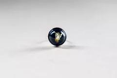 Anillo pitósporo II