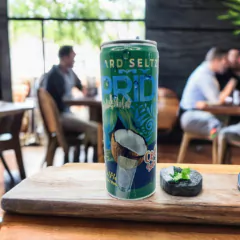 HARD SELTZER SABOR COCO 355 ML 5.5% ALC. VOL. - My Pride