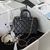 Bolsa CHANEL na internet