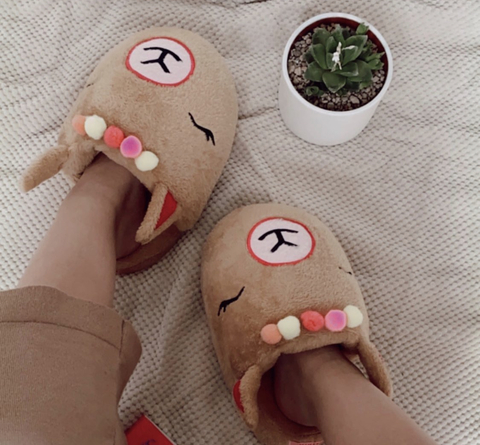 Pantuflas LLama