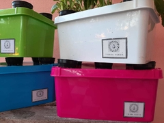 MINI HUERTA HIDROPONICA - TIERRA NUEVA HIDROPONIA