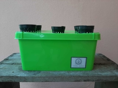 MINI HUERTA HIDROPONICA en internet