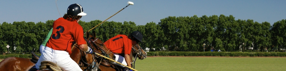 Polo Piquet Bevenati