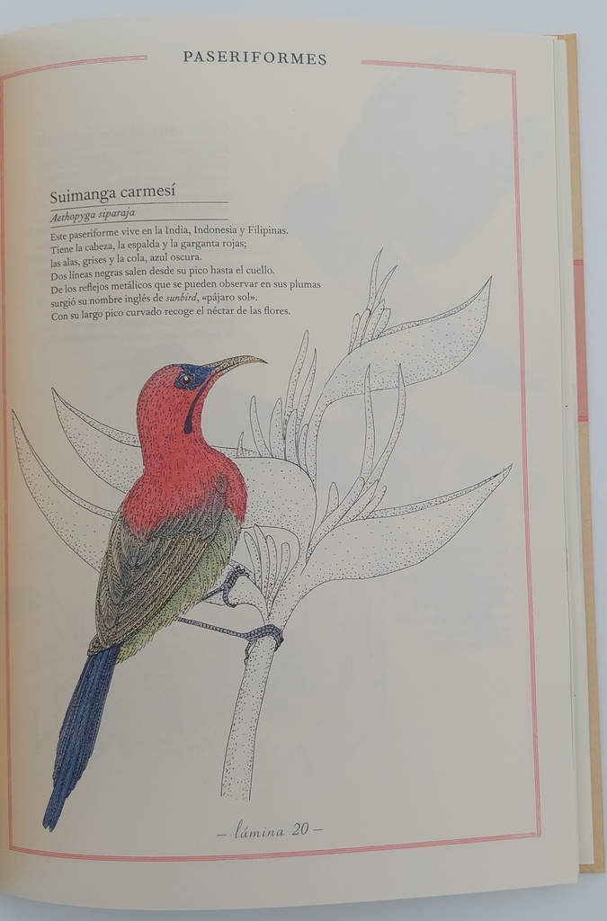 Inventario ilustrado de aves - Comprar en Instrumentia Inventario ilustrado de aves - Comprar en Instrumentia
