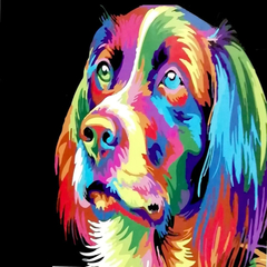 Arte Por Número Grupo Educar Perro De Colores (Sob