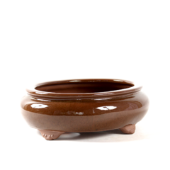 Vaso Literato Oval 25,8 cm x 19,5 cm x 8,3 cm