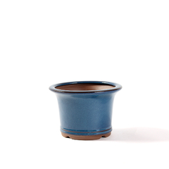 Vaso Literato Semi Cascata 15 cm x 10 cm - O Bonsai