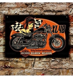 Cartel Harley Davidson XL48