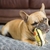 Brinquedo Pelúcia Resistente para cães Invincibles Mini Pato - Outward Hound na internet