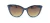 UV NEW 33644 - SUNGLASS - tienda online