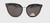 POL MOD NEW 6852 - SUNGLASS