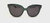 POL MOD NEW 75011 - SUNGLASS