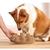 Brinquedo Tabuleiro Para Cães Nina Ottosson Dog Smart Wood Nivel 1 - Bicho no Telhado