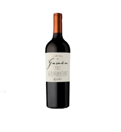 Familia Gascon Malbec